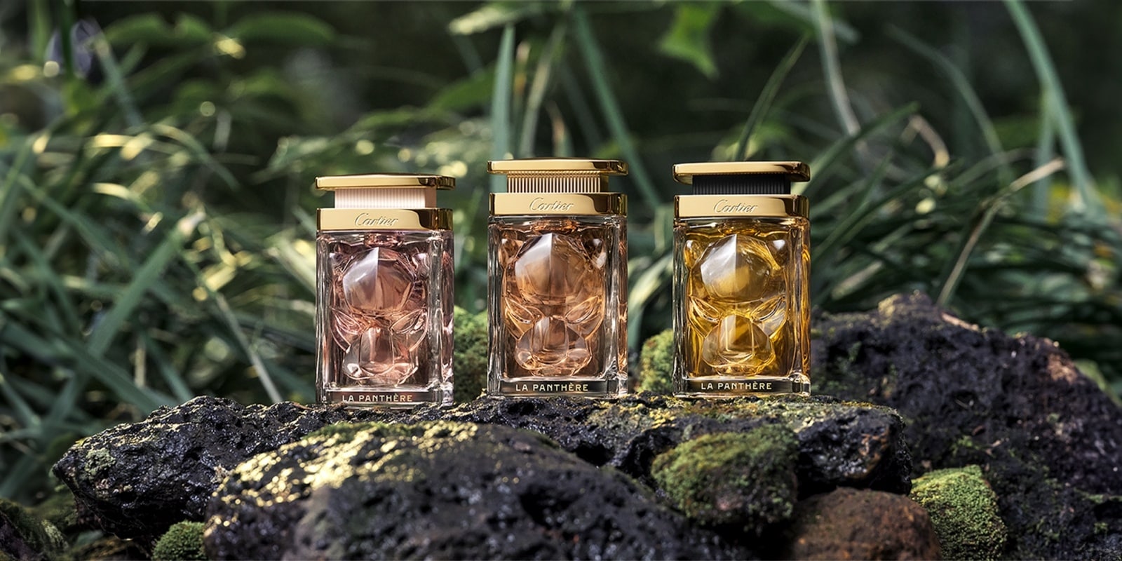 panthere fragrances